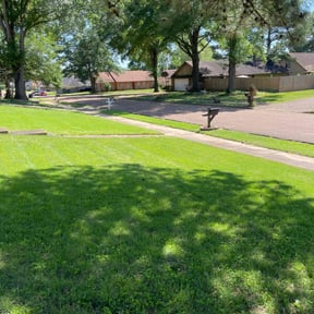 yard service by Williams Lawn and Land Services reviewed on August 20, 2025