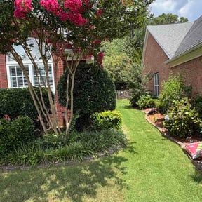 Bush Trimming by D's lawn care reviewed on July 6, 2026