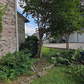 Bush Trimming by Maverick lawn service reviewed on May 25, 2026