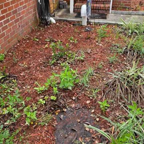 Leaf Removal by Type A Lawn Guy reviewed on July 9, 2026