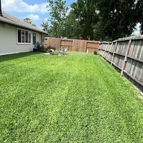 yard work by Iscape lawn professionals LLC reviewed on November 21, 2025