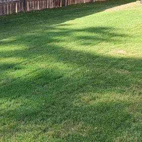 yard work by Lawn Masters, Charlotte, LLC reviewed on August 18, 2025