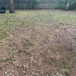 Leaf Removal by NextLevel Property Services LLC reviewed on June 8, 2026