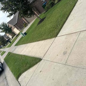 turf care by Sebastian Damaso reviewed on June 8, 2023