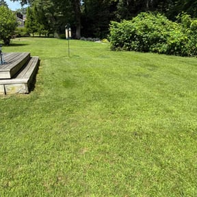 yard care by Dockstader Landscaping reviewed on August 15, 2025