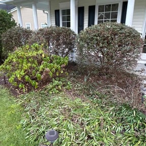 Bush Trimming by Charles &amp; Sons LLC reviewed on October 23, 2025