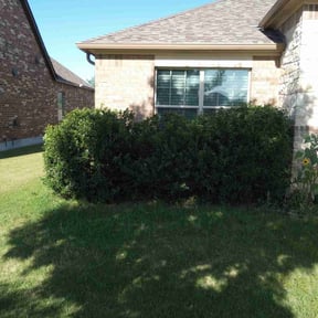 Bush Trimming by Greener Lawn Care LLC reviewed on August 16, 2025