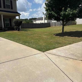 Bush Trimming by NEW NEW DAVIS reviewed on July 15, 2026