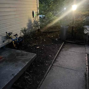 Leaf Removal by ON SITE LAWN SERVICE LLC. reviewed on July 13, 2026