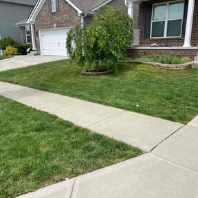 landscape maintenance by Bradley Lawn Care reviewed on August 7, 2025