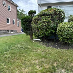 Bush Trimming by Salt &amp; Soil Property Services LLC reviewed on June 14, 2026