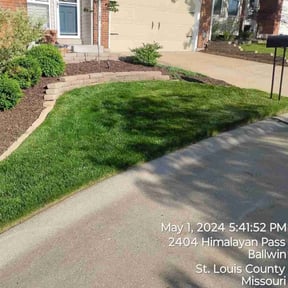 landscape maintenance by Sedlak Landscaping reviewed on August 18, 2025