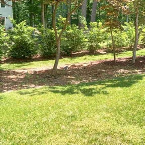 gardening service by El Jardin De Pedro reviewed on August 18, 2025
