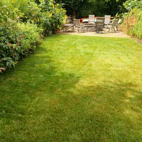 landscaping services by L&P.inc reviewed on August 19, 2025