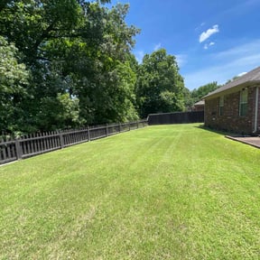 yard care by HTx Landscaping Services reviewed on August 17, 2025