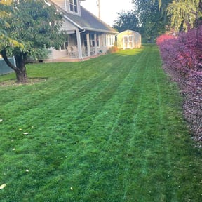 Flower Bed Weeding by TruGreen LawnCare reviewed on June 6, 2025