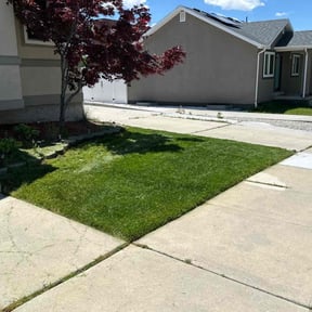 grass cutting by Wolverine Lawncare reviewed on August 16, 2025