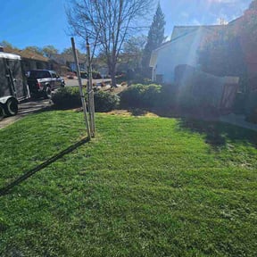 Bush Trimming by Brothers Lawncare reviewed on March 10, 2026