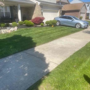 yard maintenance by Robbie Laubenstein reviewed on November 24, 2025