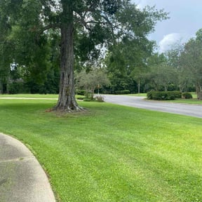 yard care by Chaplin Lawncare reviewed on December 9, 2025