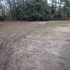 Leaf Removal by K X and T Property reviewed on February 27, 2026