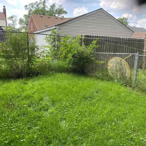 Bush Trimming by Don's lawn care  reviewed on November 23, 2025