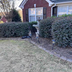 Bush Trimming by Happy Homes Lawn Care Services reviewed on December 4, 2025