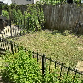 Bush Trimming by Chris’s Lawn Service reviewed on August 14, 2025