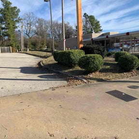 Bush Trimming by Raincrow Landscape and Mowing reviewed on December 9, 2025