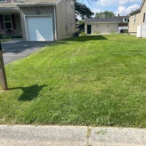 yard service by JNGLandscaping LLC reviewed on August 16, 2025