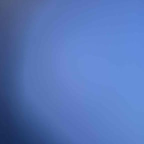 Leaf Removal by Aces reviewed on August 6, 2025