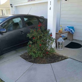 Flower Bed Weeding by Robert Norton’s Lawn Care reviewed on November 9, 2025