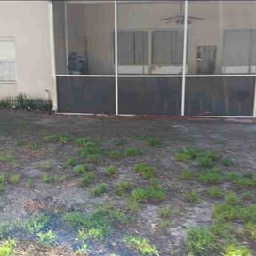 Leaf Removal by Rana general service reviewed on March 30, 2026