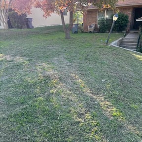 Leaf Removal by On Point Lawn Care reviewed on October 3, 2025
