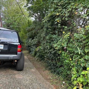 Bush Trimming by EA landscaping  reviewed on August 26, 2026