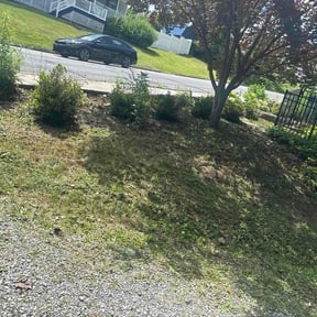 Flower Bed Weeding by Green Line  Landscaping reviewed on June 21, 2026