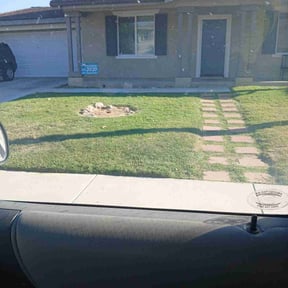 lawn care services by Taysha Rivera Soler reviewed on April 24, 2024