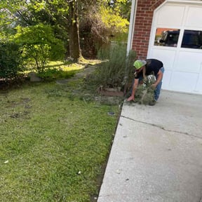 Bush Trimming by Jack Catlin reviewed on August 18, 2025