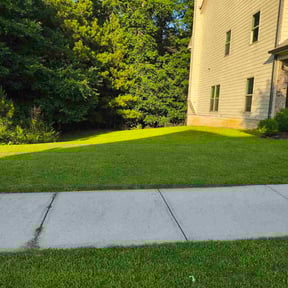 gardening service by Keeponlawn CO reviewed on November 24, 2025