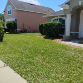 Bush Trimming by Whitfield lawn care reviewed on May 21, 2026