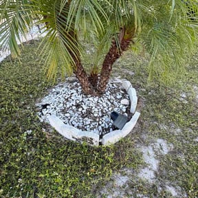 Flower Bed Weeding by Quasny &amp; Son Landscaping reviewed on November 23, 2025