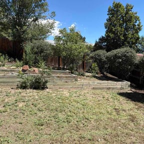 Bush Trimming by Lawn and Order-Special Lawn Unit LLC reviewed on August 19, 2026