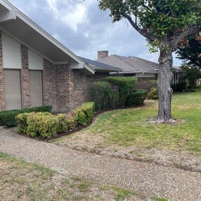 Bush Trimming by M &amp; F Landscaping Services LLC reviewed on November 27, 2025