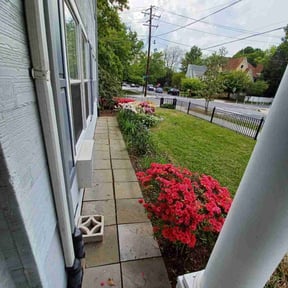 Bush Trimming by Bert's Landscaping and Propery Mantienance reviewed on August 17, 2025