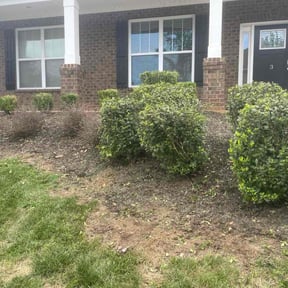 Flower Bed Weeding by Davis Yard Works, LLC reviewed on November 9, 2025