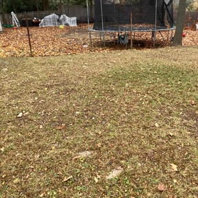 Leaf Removal by Comeau's Lawn Care reviewed on July 29, 2026