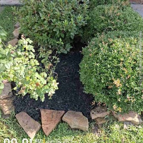 Flower Bed Weeding by Benchmark Contracting Services LLC reviewed on June 22, 2026