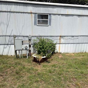 Bush Trimming by Andy's Lawn Care reviewed on June 17, 2026