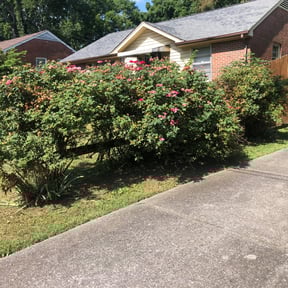 Flower Bed Weeding by GreenHand Landscaping reviewed on August 18, 2025