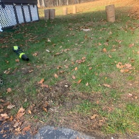 Leaf Removal by Wynstra Lawn Care LLC reviewed on September 18, 2025